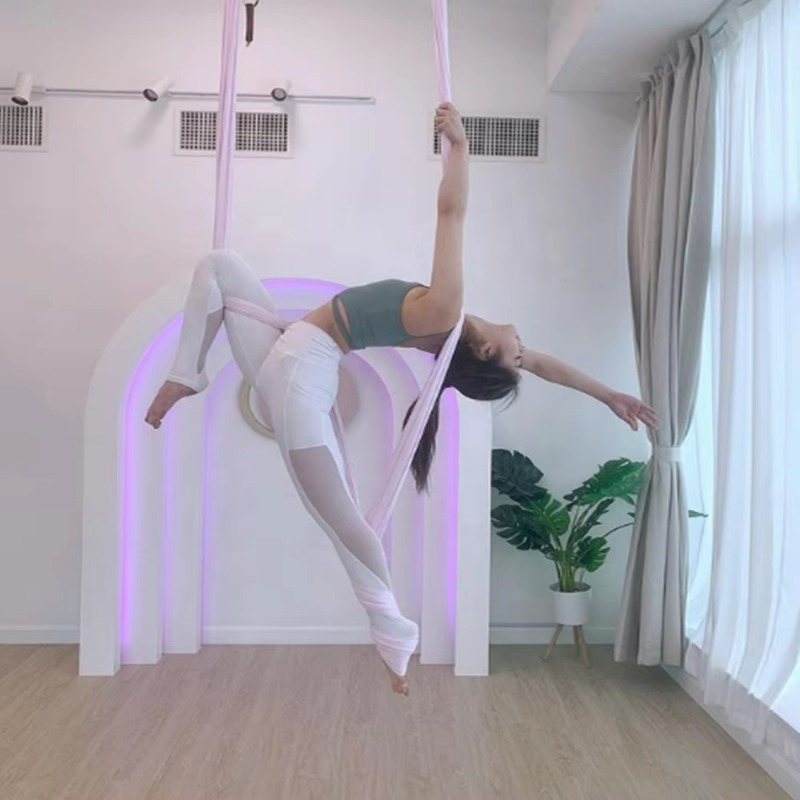 Trapezio Aereo Professionale N - Yoga Swing Aerial recensione e prezzo